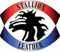 Stallion Leather's Newest Products: